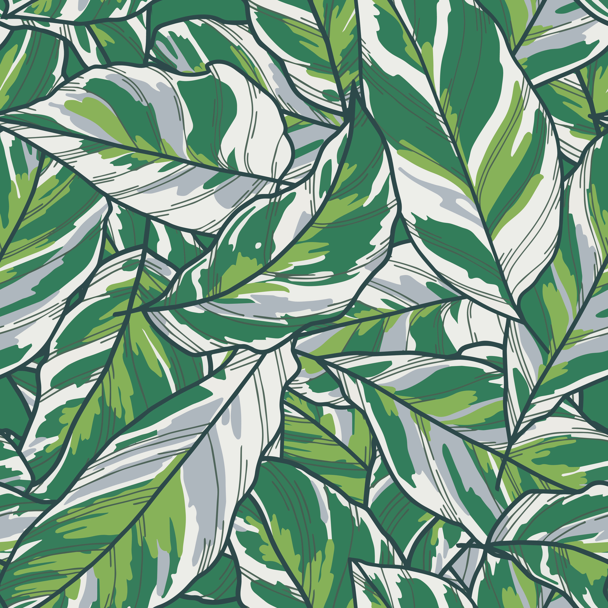 Leaves Plant Wallpaper